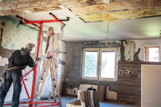 Best Eco-Friendly or Green Insulation Solutions  in Wadsworth, IL